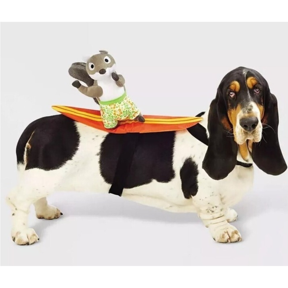 Hyde & Eek Boutique Surfing Squirrel Dog Costume Size S/M
